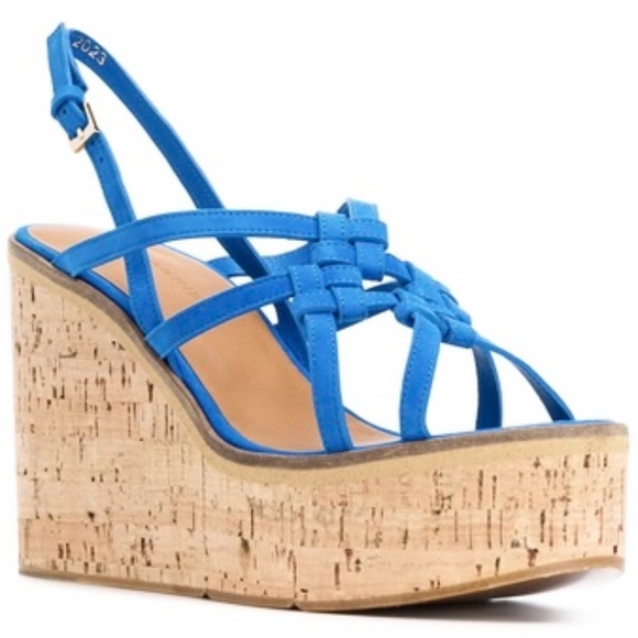 Robert Clergerie Shoes - Robert Clergerie Valia Blue Wedge Platform Sandal